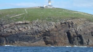 candidate_0_1764619475-1