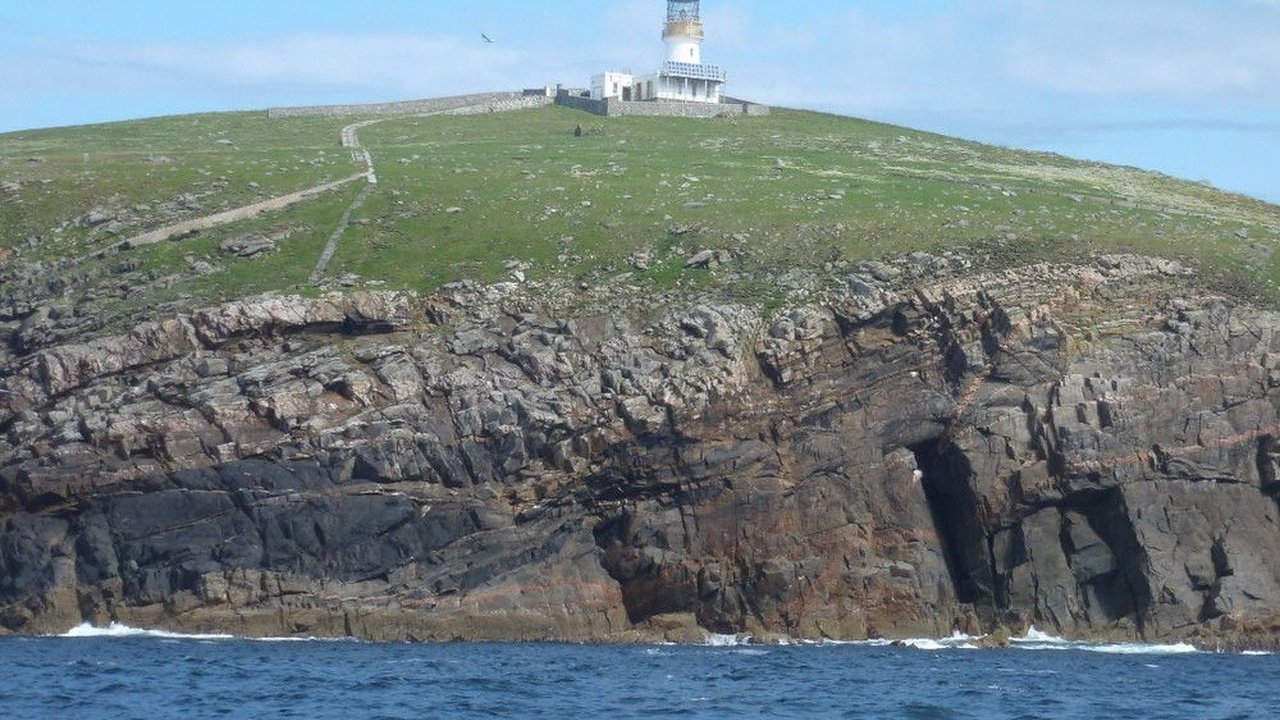 The Discovery: A Silent Sentinel