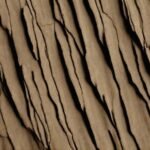 The Chicxulub Crater: How Iridium Dust Ended the Age of Dinosaurs